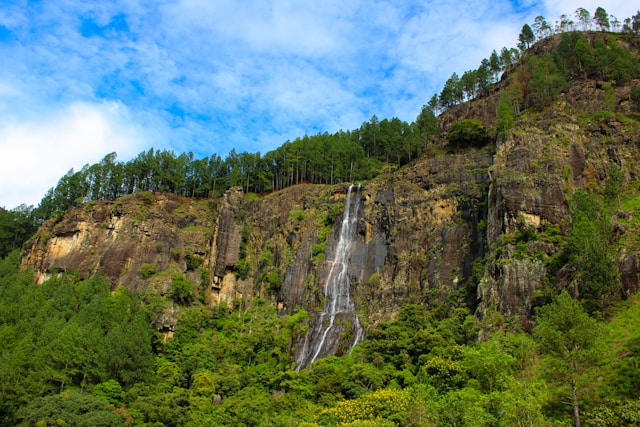 dilani-wickramanayake-0JJhGVGUdtc-unsplash